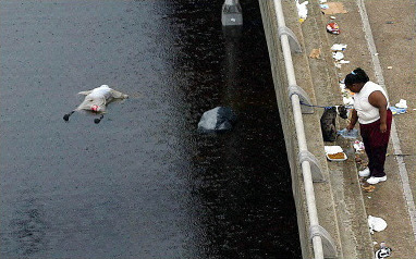 Hurricane Katrina Aftermath (64.27 KB)