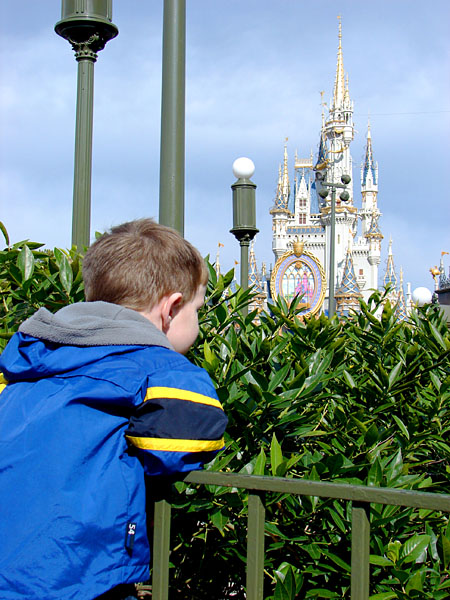 Jacob taking in the view with Cinderella's Castle in the background (122.71 KB)