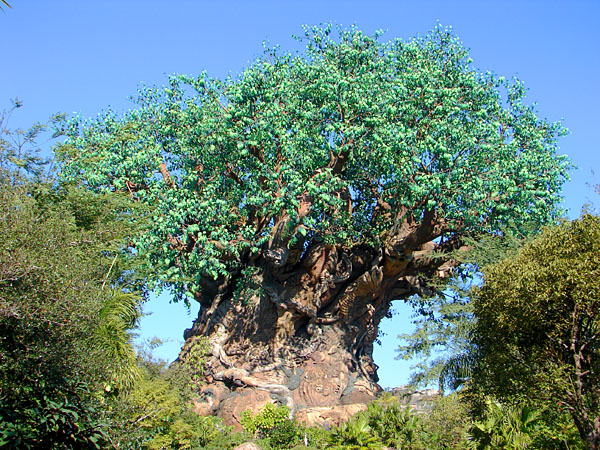 The Tree of Life at Disney's Animal Kingdom (197.10 KB)