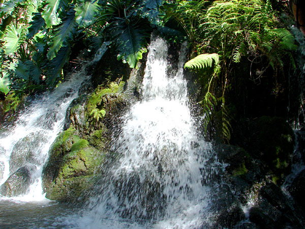 Waterfall on the Jungle Cruise (144.42 KB)