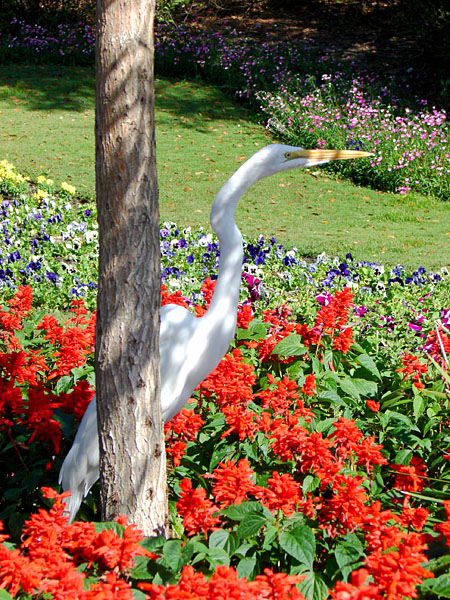 A crane of some sort inside the Canada Pavilion at Epcot (193.04 KB)