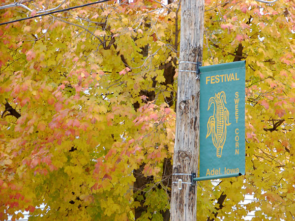 Bright yellow tree next to Adel Sweet Corn Festival sign (154.15 KB)