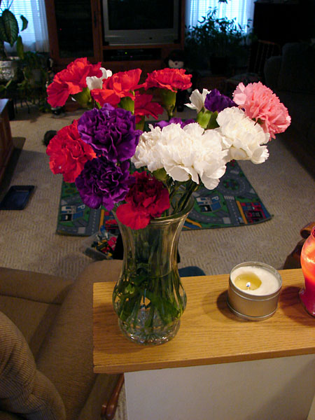 Very pretty carnations (92.50 KB)