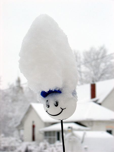 Snow collected on my Cubs antenna topper in a unique way (43.55 KB)