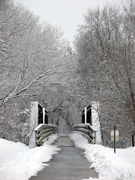 A bridge on a bike trail in Adel (132.56 KB)