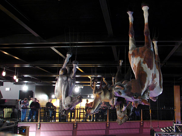 Horses on the ceiling.  No, really. (83.22 KB)