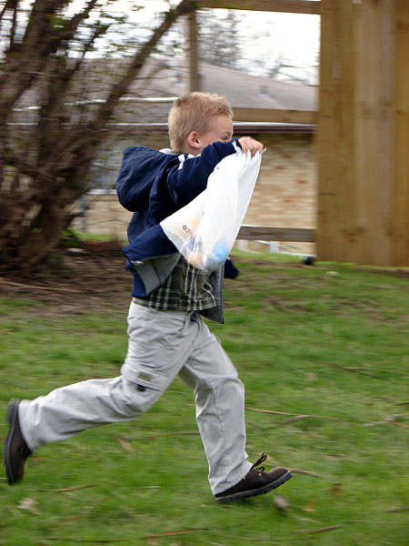 Spencer running to get some eggs (84.37 KB)