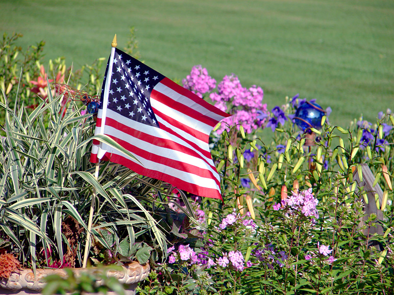 A flag and some flowers (367.00 KB)