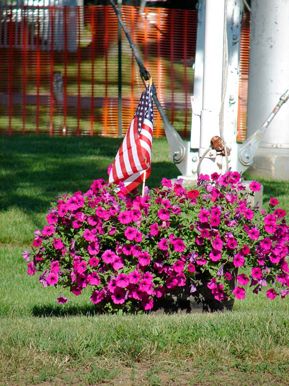 Another flag in some flowers (377.24 KB)