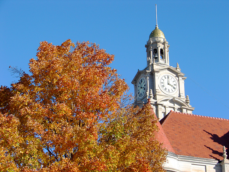 Nice fall foliage in front of the Dallas County Courthouse (351.14 KB)