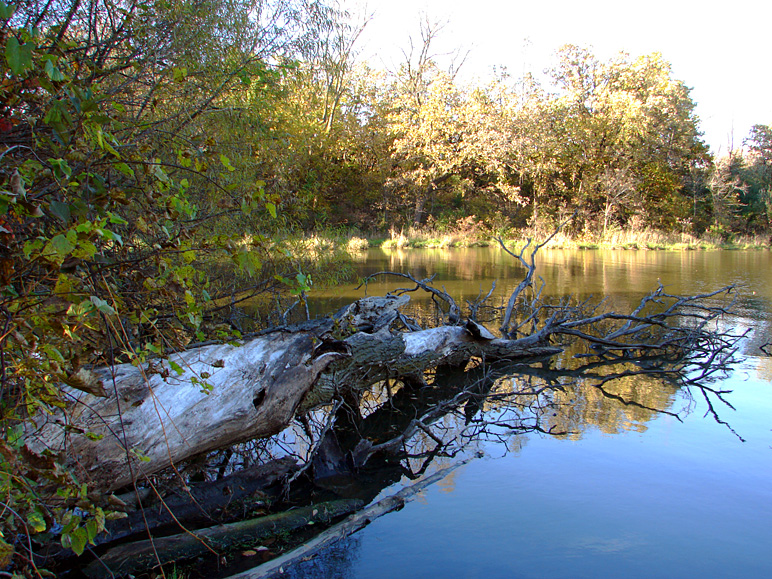 I really like this photo, which was taken at Easter Lake (381.74 KB)