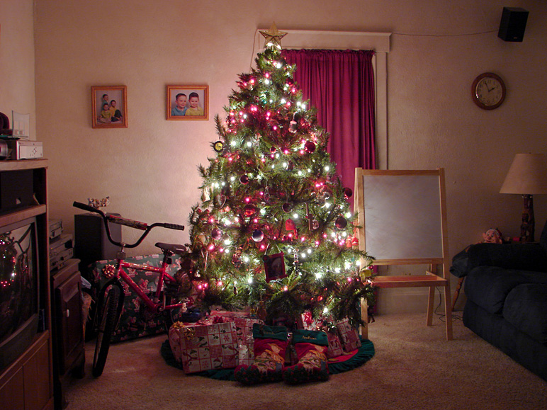 Our Christmas Tree, very early Christmas morning (242.05 KB)