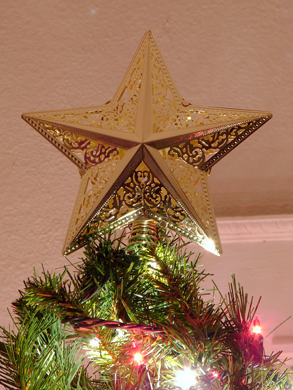 The star on top of our tree (281.32 KB)