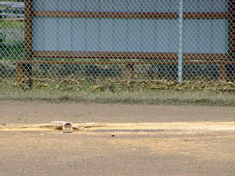 This used to be a pitcher's mound (356.85 KB)