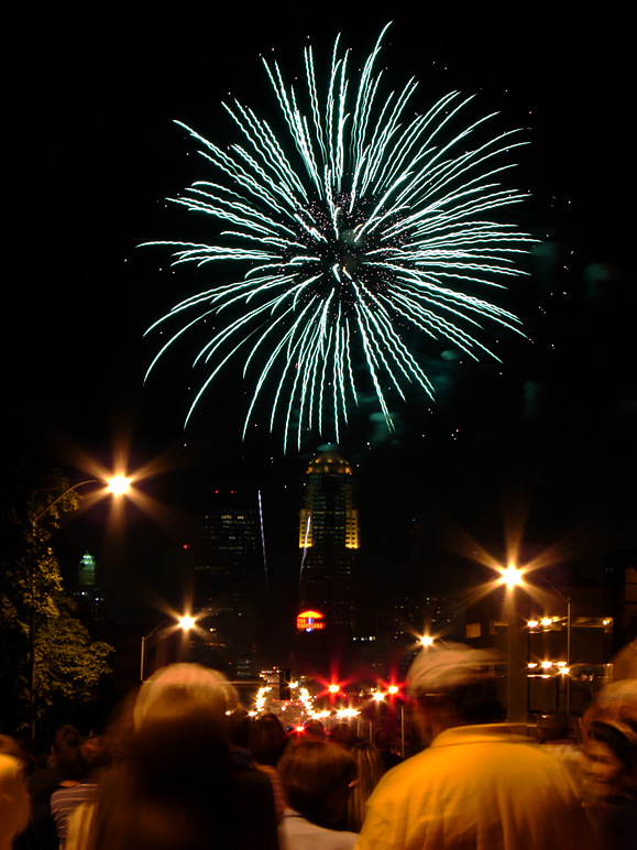 Green and white firework (205.02 KB)