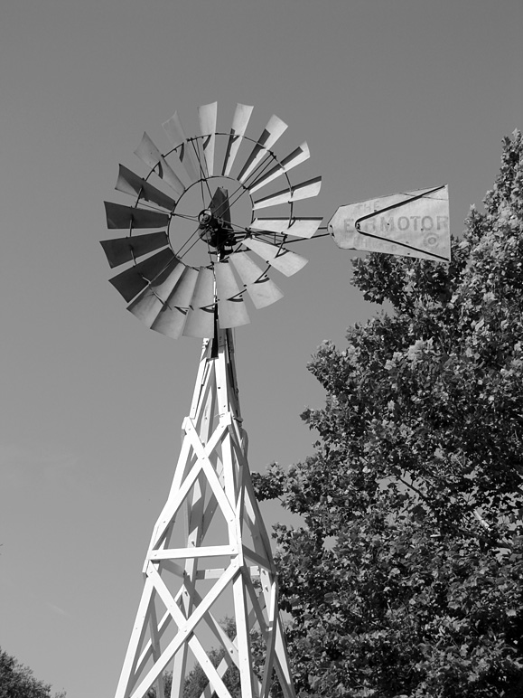 A rare black & white photo of a windmill (170.97 KB)