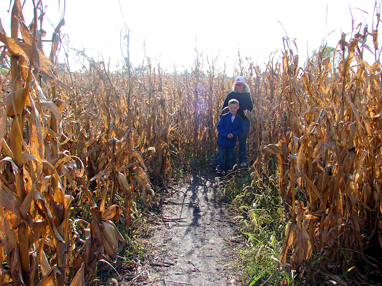 Jake and Mary in the corn (386.39 KB)