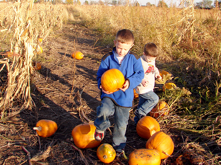 Jake and Drew at a pumpkin patch (451.82 KB)