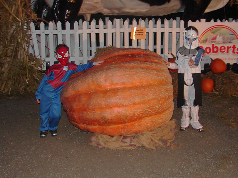 That's a big pumpkin (239.64 KB)