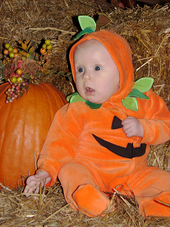 Which pumpkin is cuter?  Which is rounder? (290.72 KB)