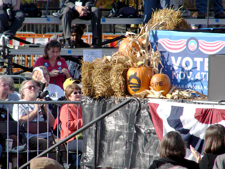 Nice Obama-themed pumpkins (309.59 KB)