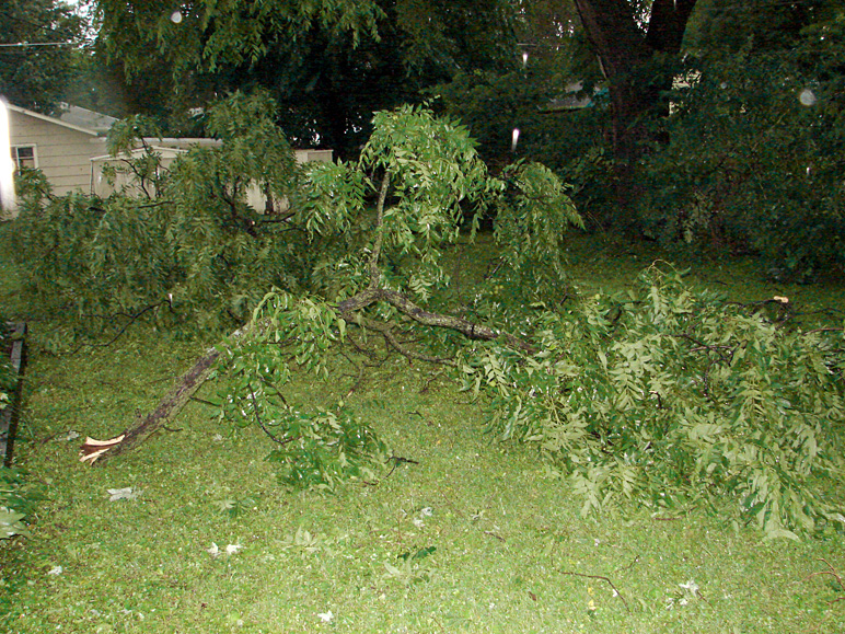 Storm damage: angle 1 (412.79 KB)