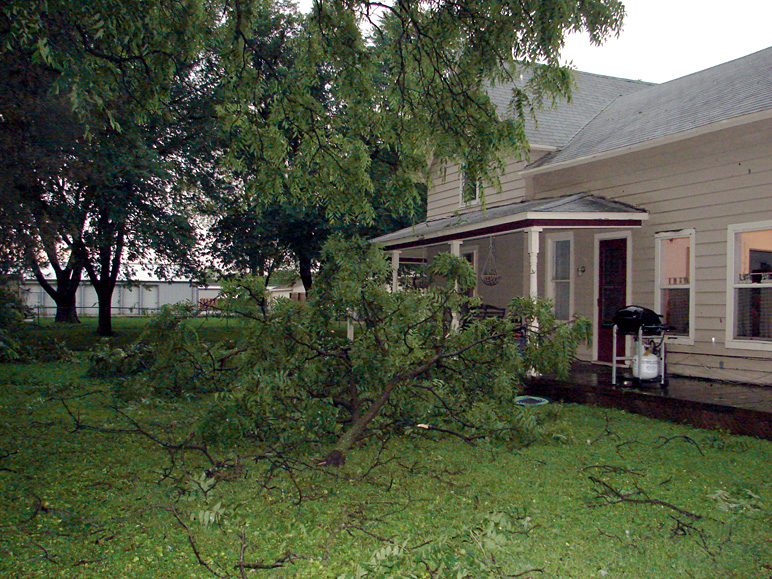 Storm damage: angle 3 (382.09 KB)