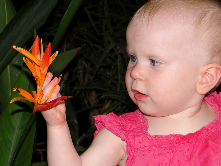 Katelyn checking out a flower (179.44 KB)