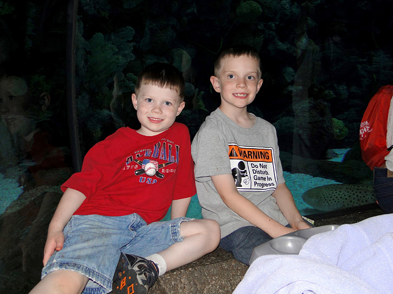 The boys inside the aquarium (202.16 KB)