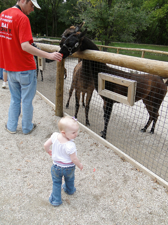 Katelyn in the petting zoo (324.51 KB)