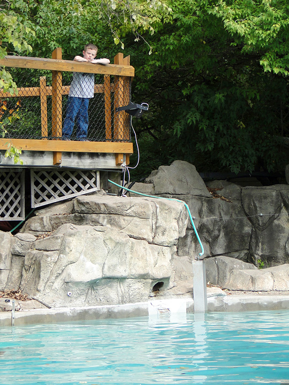 Jake checking out the seal pool (303.16 KB)