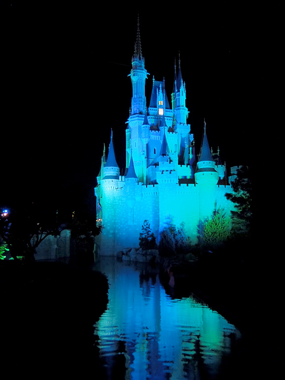 Nighttime side shot of Cinderella's Castle (118.68 KB)