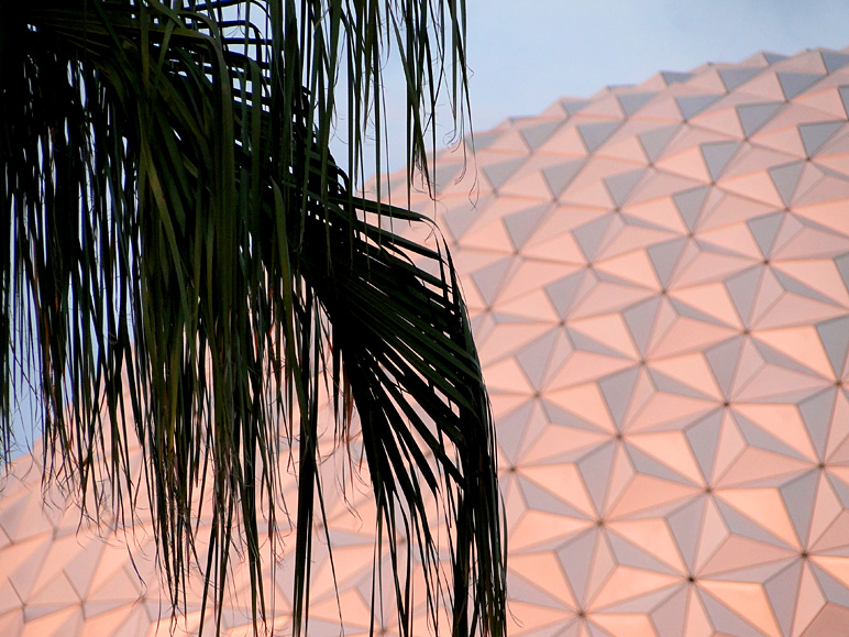 A palm tree silhouetted against Spaceship Earth at sunset (235.77 KB)