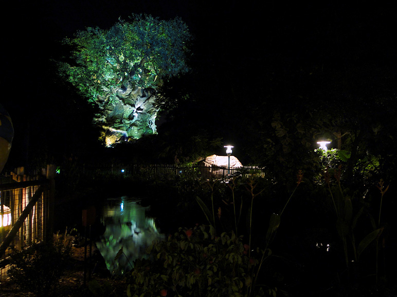 Nighttime shot of the Tree of Life at Animal Kingdom (160.65 KB)