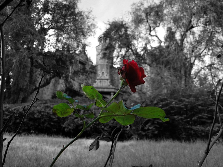 I went selective color on this one (188.78 KB)