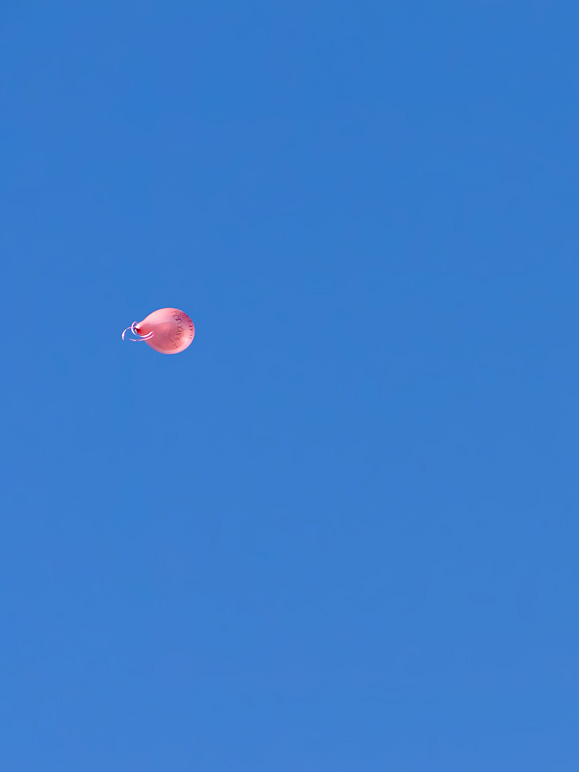 Each balloon released represents a victim of breast cancer (41.73 KB)