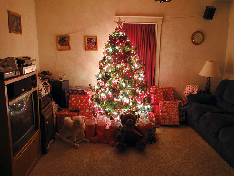 Our tree (236.90 KB)