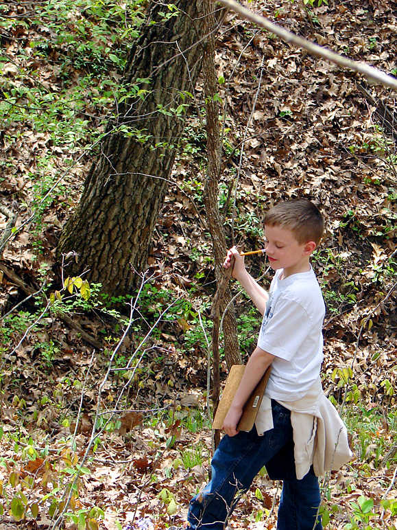 Jacob looking around in the woods (480.45 KB)