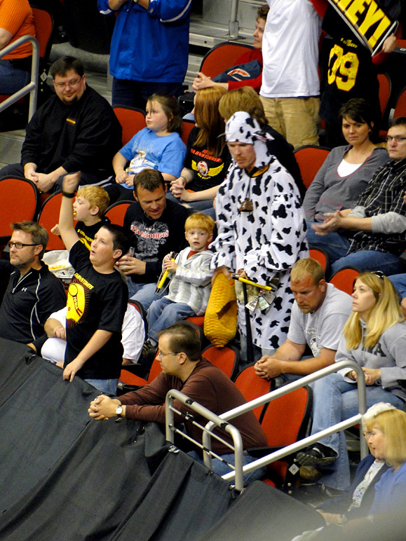 Of course there's a cow in the crowd! (267.48 KB)