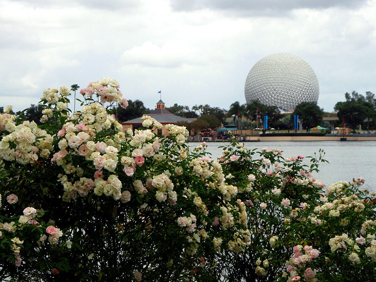 Nice day at Epcot ... until it rained later (286.01 KB)