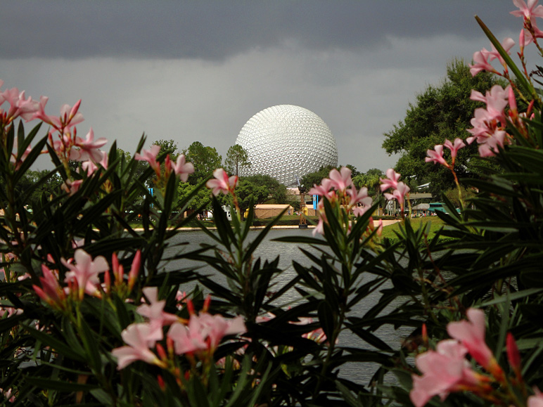 Cool shot of Spaceship Earth bordered by flowers (210.63 KB)