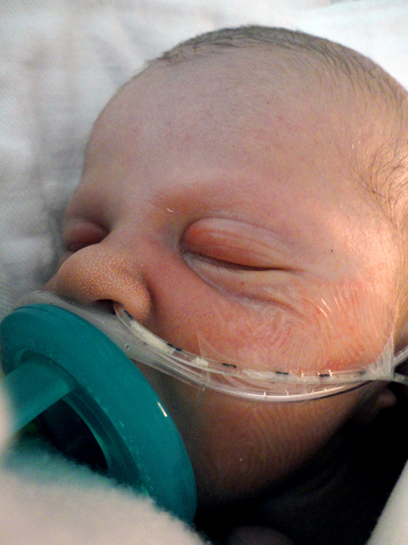 Here he is in the NICU.  The pacifier looks huge. (177.43 KB)