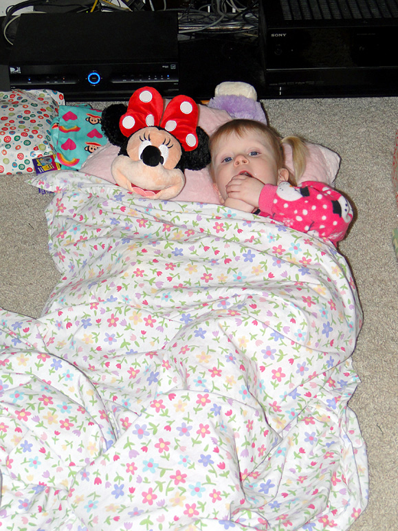 She decided that a siesta in the middle of the living room floor was in order (285.22 KB)