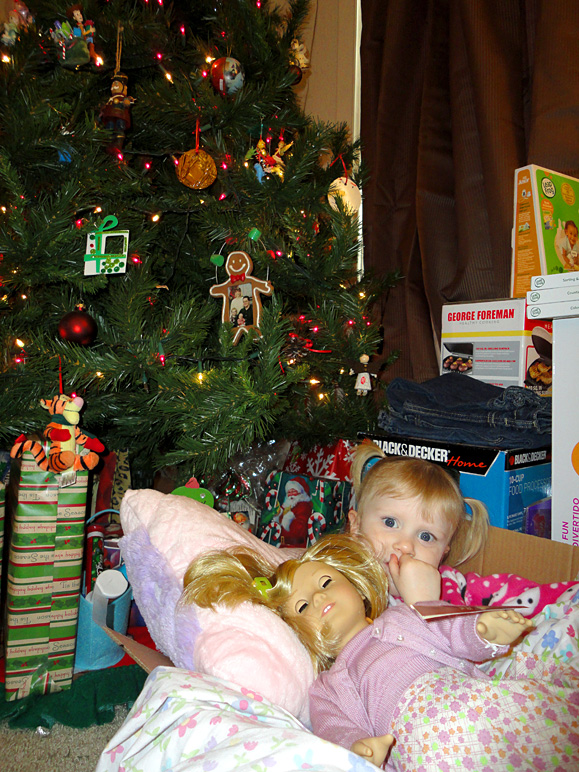 Our daughter is sleeping in a box under a tree.  Where did we go wrong? (301.56 KB)