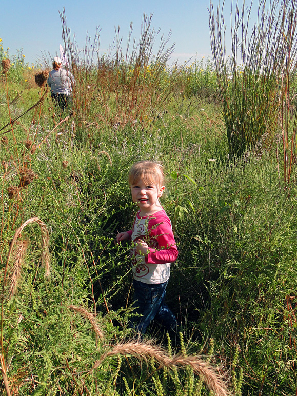 Kate going for a walk in the prairie (414.93 KB)