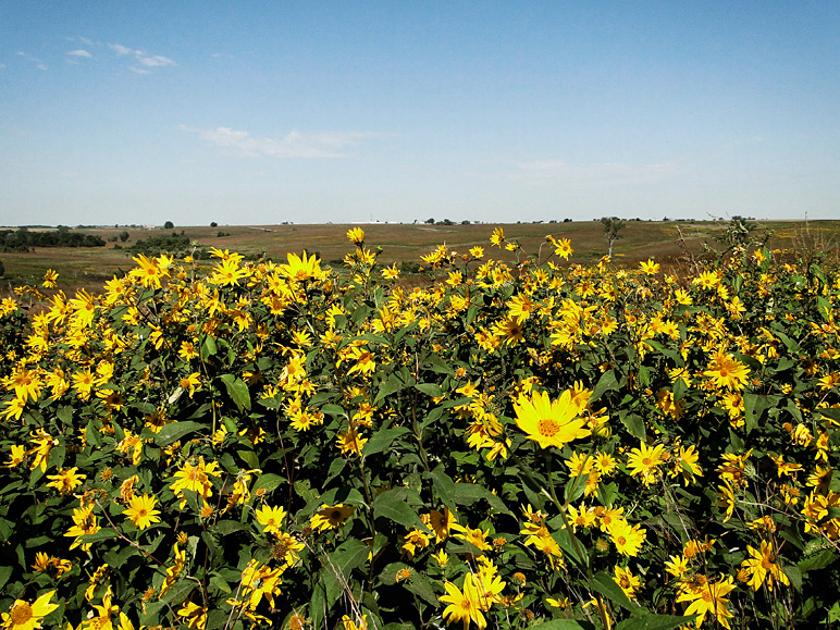 The Neal Smith National Wildlife Refuge is oddly gorgeous (370.17 KB)