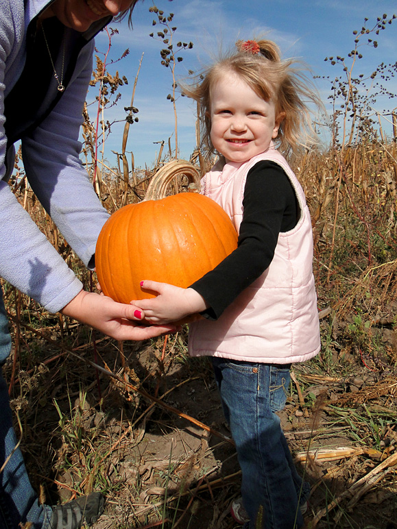 Kate found a pumpkin (301.19 KB)