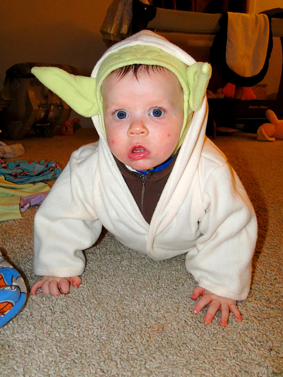 Luke as Yoda (230.59 KB)