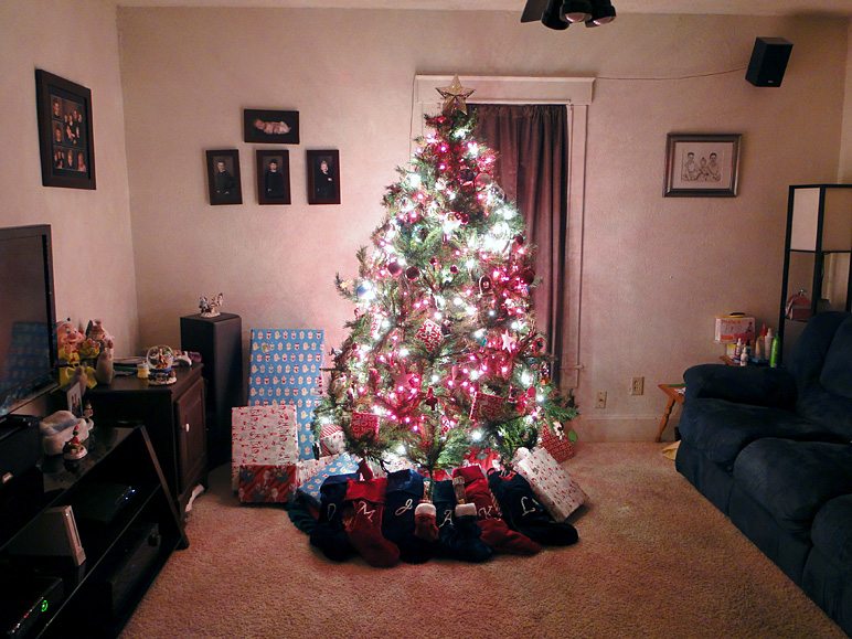 Our Christmas tree (232.36 KB)