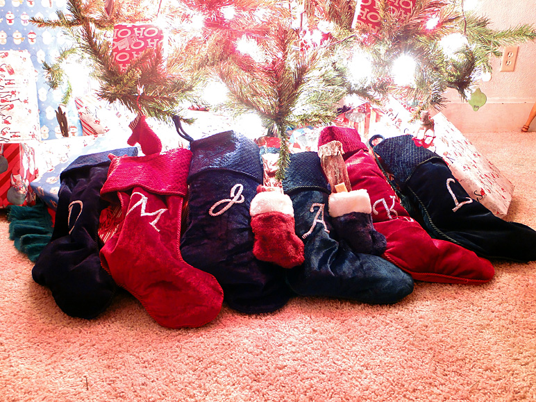 All of our stockings: one for each person, and the two little ones for the dogs (368.74 KB)